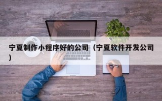 内江宁夏制作小程序好的公司（宁夏软件开发公司）